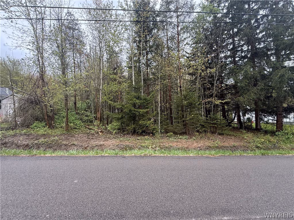 Dawn Ave, Angola, NY 14006